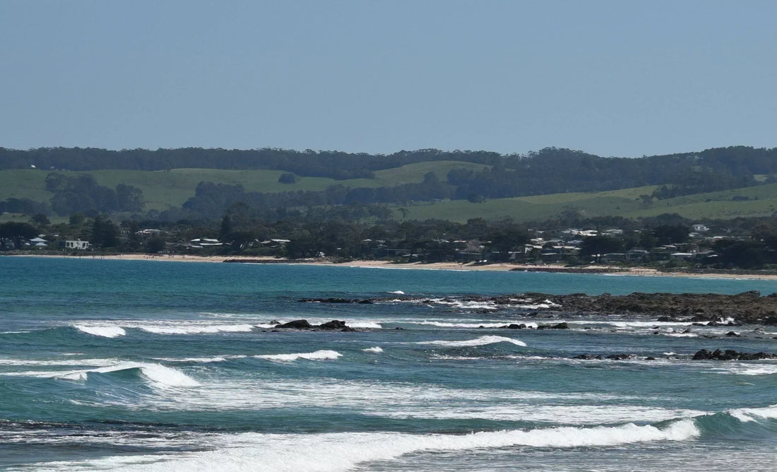Cup of Chino - Apollo Bay Organic providore & Coffee Shop