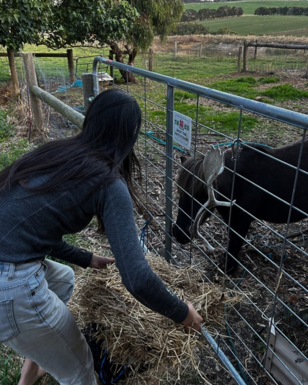 From Soil to Cup: What Regenerative Farming Taught Me About Wellbeing